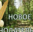 Мелитопольский межрайонный природоохранный прокурор разъясняет об изменениях лесного законодательства. - Город Энергодар