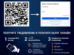 1 декабря — срок уплаты имущественных налогов!.